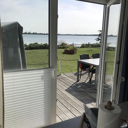 Strandhaus-seeschwalbe *