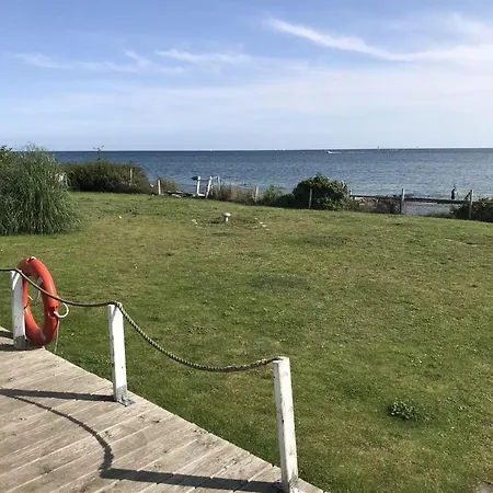 Strandhaus-seeschwalbe Fehmarnsund