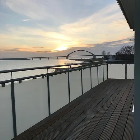 Strandhaus-seeschwalbe Fehmarnsund