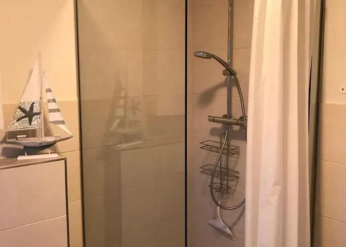 Strandhaus-seeschwalbe