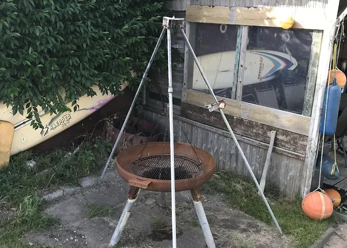 Strandhaus-seeschwalbe Fehmarnsund