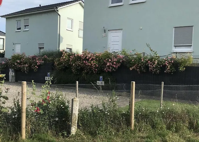 Vakantiehuis Strandhaus-seeschwalbe